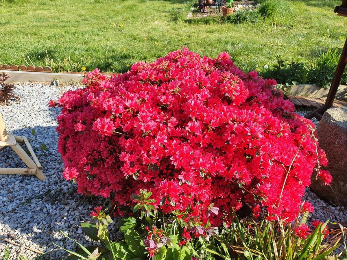 Bed and Breakfast Couloumine Breizh Saint-Aignan  Экстерьер фото